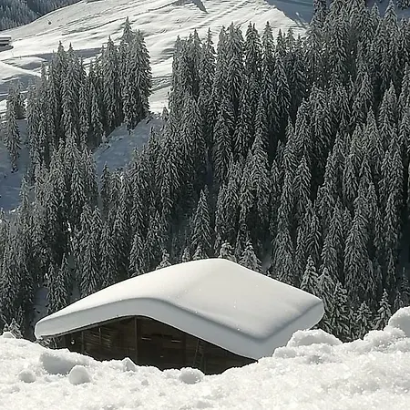 Haus Stadler Apartment